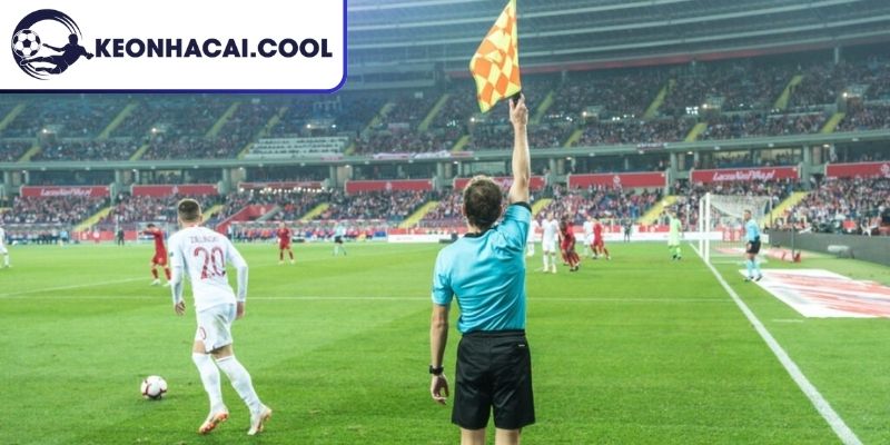 Kinh nghiệm soi hiệu quả theo từng giai đoạn