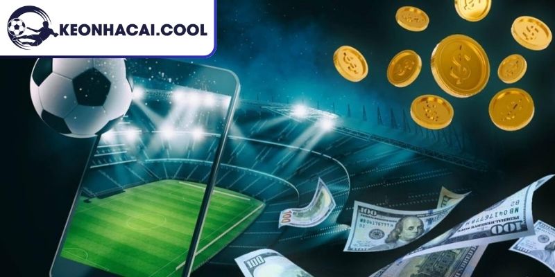 Cách tiếp cận loại hình hiệu quả cho tân thủ