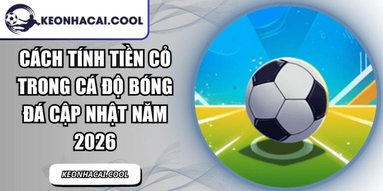 Cách Tính Tiền Cỏ Trong Cá Độ Bóng Đá